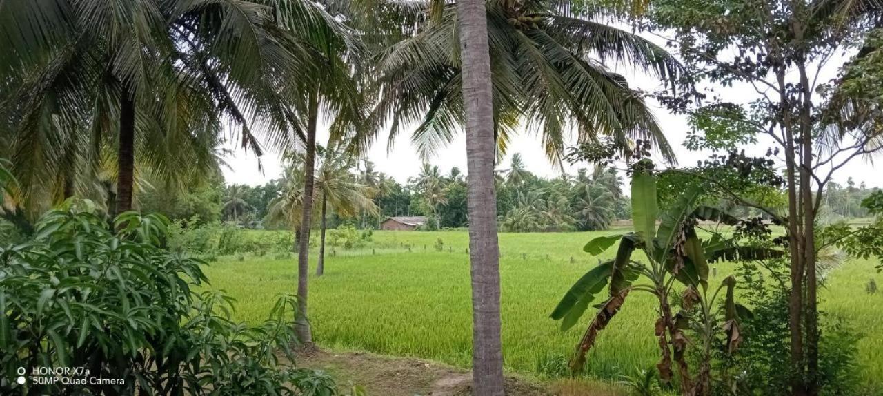 Anuradhapura Hotels المظهر الخارجي الصورة