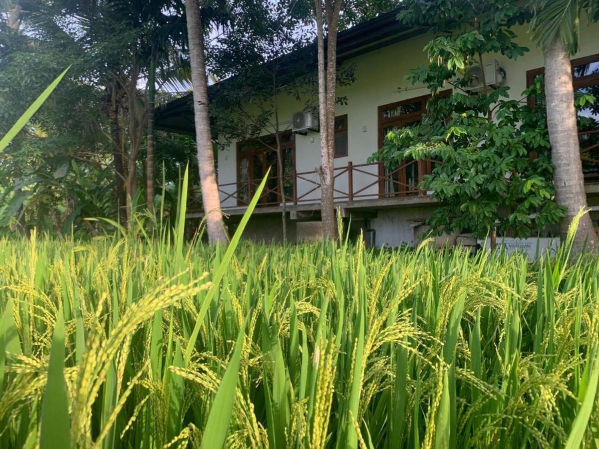 Anuradhapura Hotels المظهر الخارجي الصورة